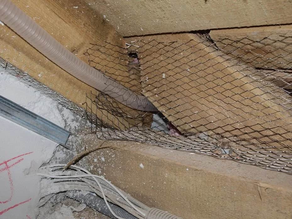 Skuteczne sposoby na zabezpieczenie dachu przed kunami w Twoim domu