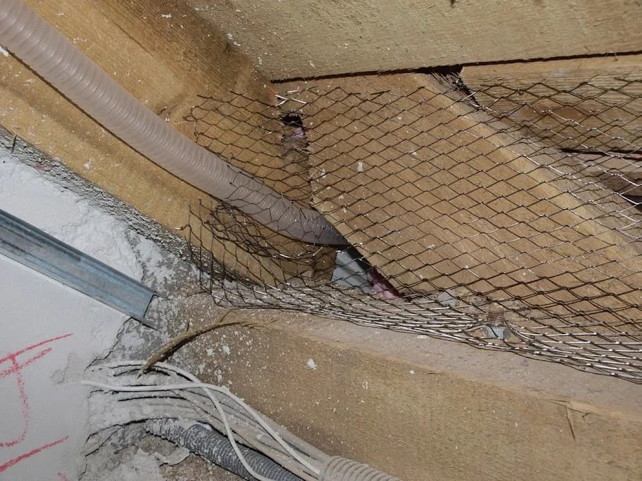 Skuteczne sposoby na zabezpieczenie dachu przed kunami w Twoim domu