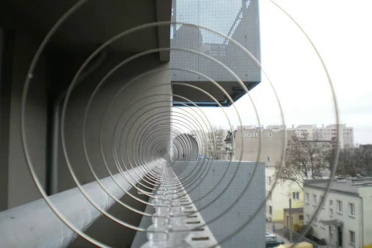 Jak zabezpieczyć dach przed ptakami i uniknąć kosztownych szkód