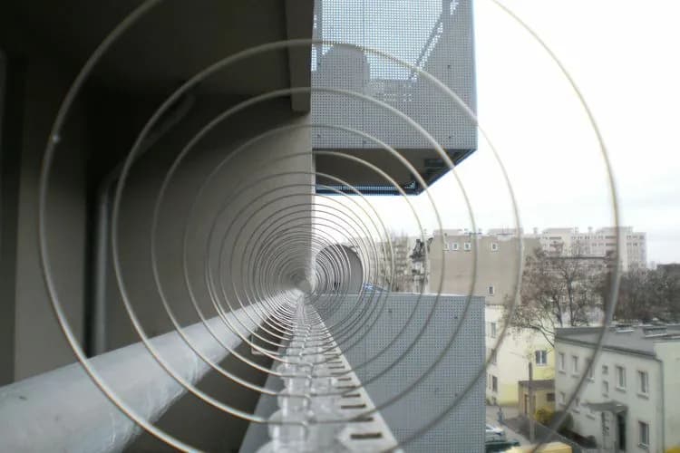 Jak zabezpieczyć dach przed ptakami i uniknąć kosztownych szkód