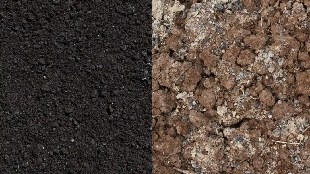 Tona ile to m2? Prosty sposób na przeliczenie ciężaru na obszar